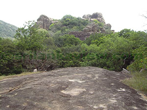 Hatthikucchi Vihara